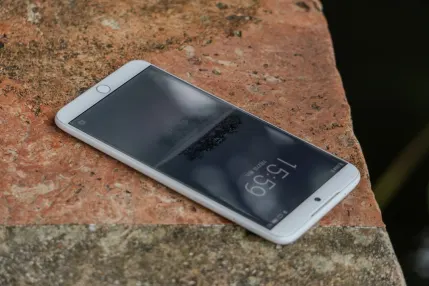 زوتابت كازينو تطبيق الهاتف المحمول